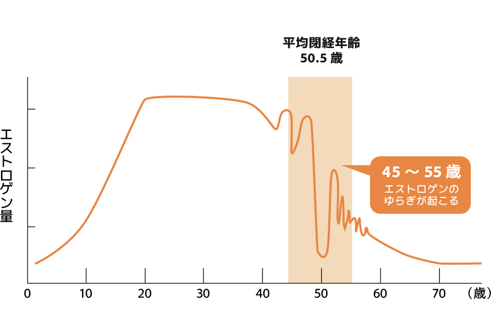 エストロゲン濃度の揺らぎ